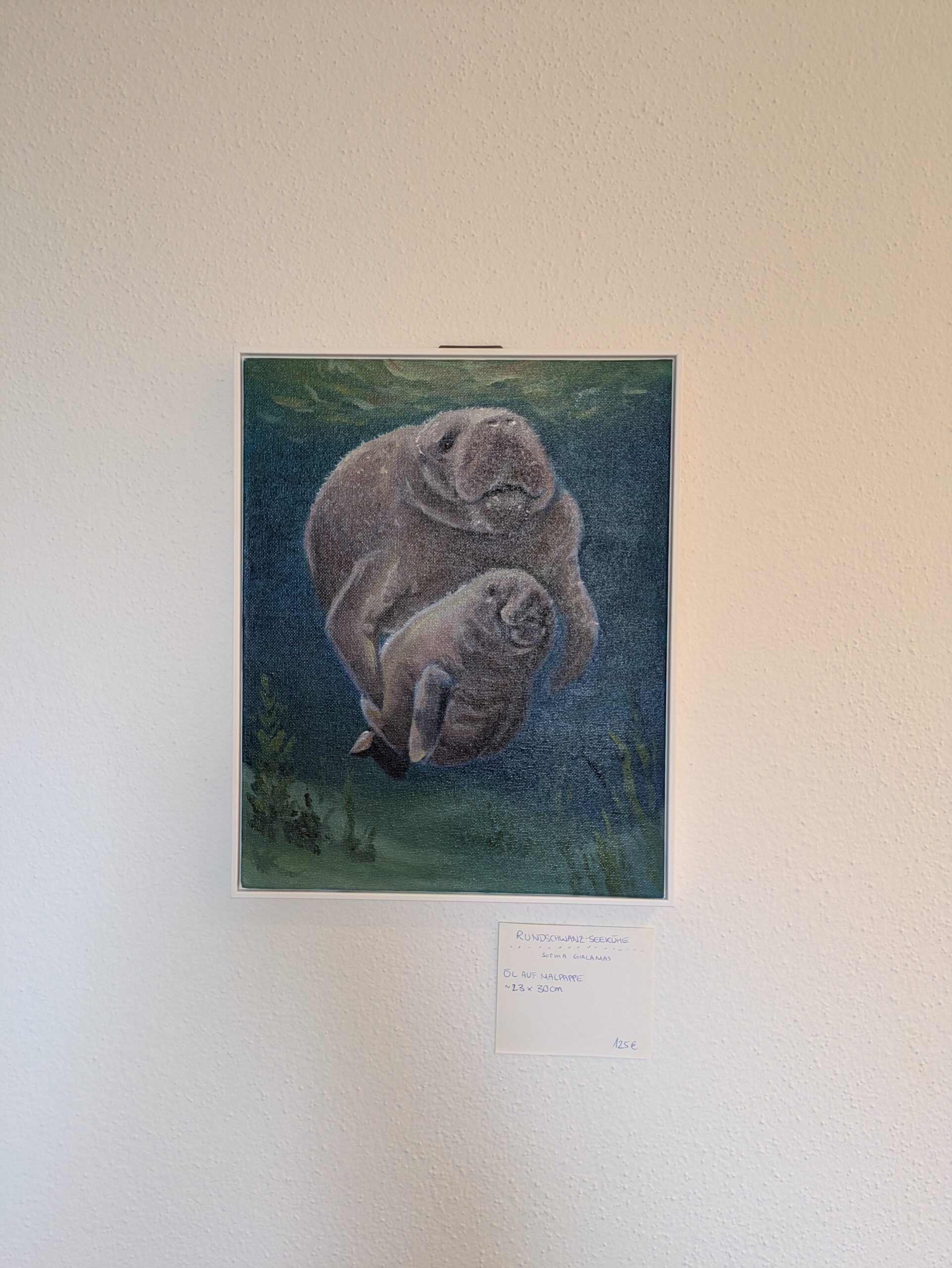 zwei Walrösser im Wasser auf Öl